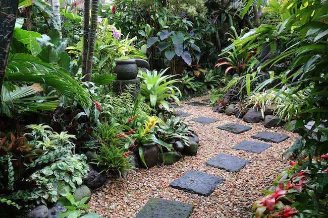 Jardim Tropical