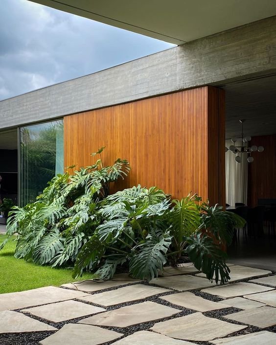 5 Plantas para Jardim que Florescem o Ano Todo 7 A costela-de-adão é uma planta resistente e de fácil cultivo, que conta com folhagens amplas e vazadas, sendo esse o detalhe mais marcante de sua aparência.