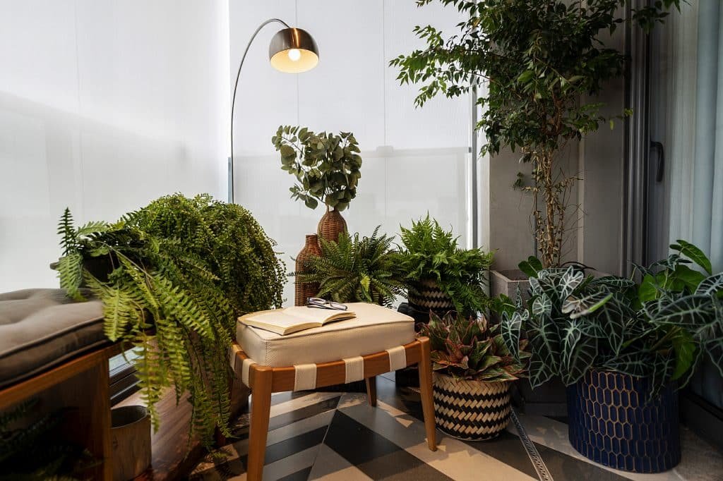 Cantinho da Ioga: 7 Dicas para Criar um Espaço de Tranquilidade 4 Plantas para o cantinho da ioga