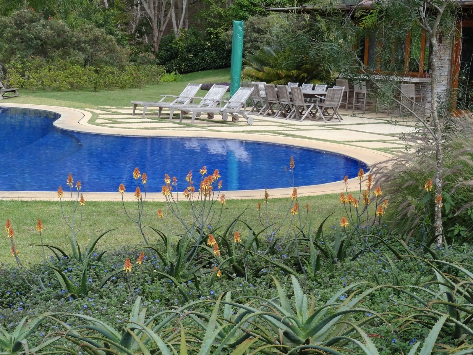 7 Cuidados com as Plantas no Inverno 1 Projeto do escritório Landscape Jardins