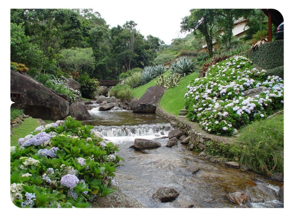 7 Cuidados com as Plantas no Inverno 2 Hortênsias, projeto do escritório Landscape Jardins