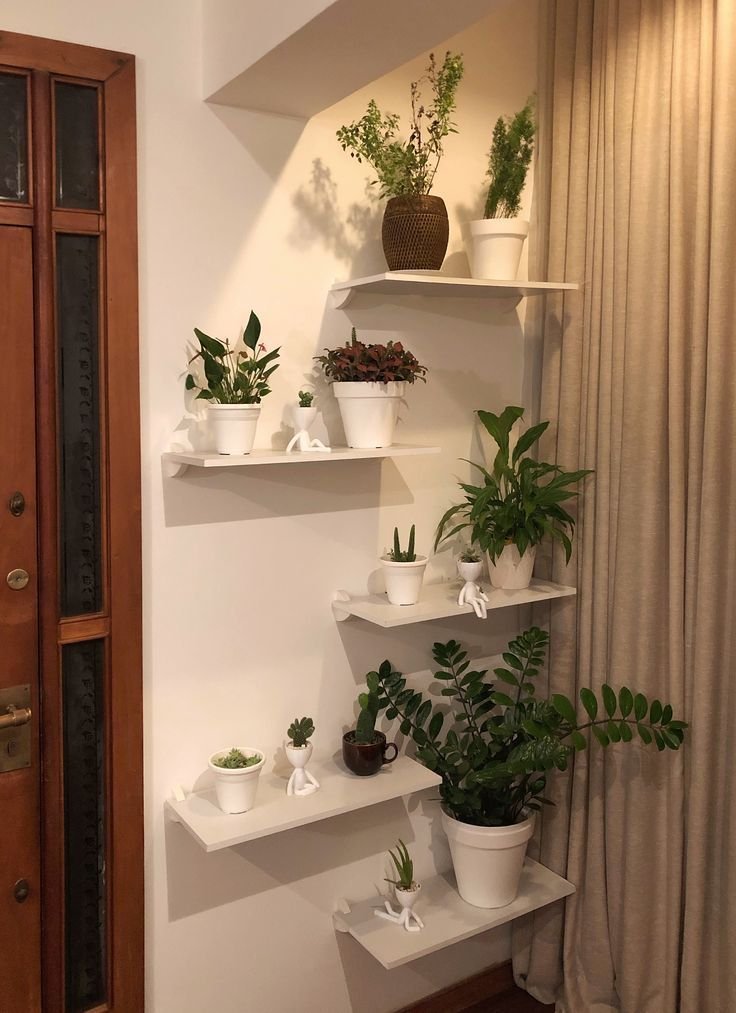 8 Ideias Inovadoras para Decorar Paredes Pequenas 8 Componha a parede com plantas