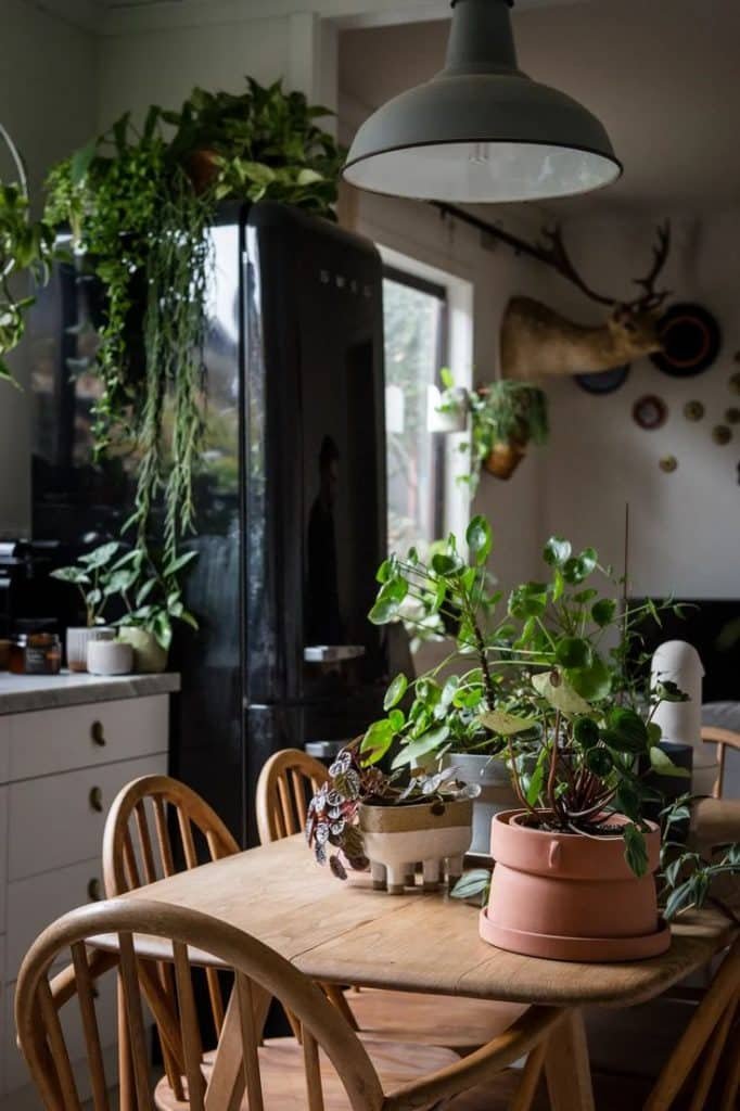 Urban Jungle: 5 Dicas para Criar um Ambiente Fresco e Acolhedor 6 Cozinha com mesa e cadeiras em madeira, com pendente