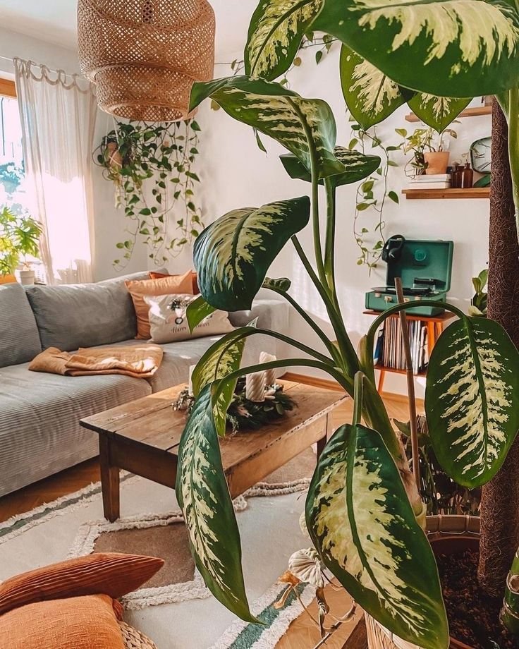 Urban Jungle: 5 Dicas para Criar um Ambiente Fresco e Acolhedor 2 Sala de estar com plantas variadas