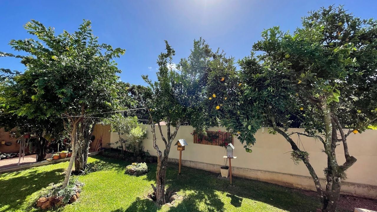 7 Vantagens de Ter um Jardim Simples no Quintal