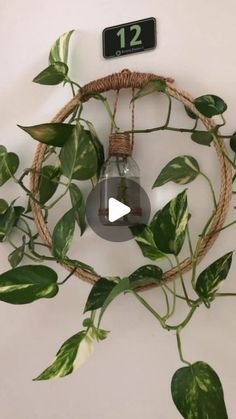 As 5 Melhores Soluções Criativas para Iluminar Seus Ambientes com Plantas 4 3 Soluções Criativas para Decorações Internas com Plantas
