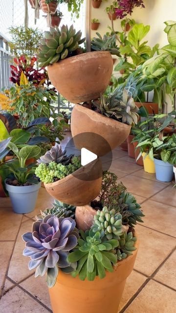 7 Ideias Criativas de Decoração com Plantas para Espaços Compactos 2 3 Decorações Internas com Plantas para Ambientes Pequenos