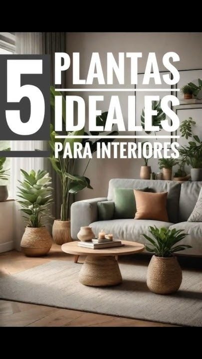 As 5 Melhores Estratégias para Usar Plantas na Decoração Interna 2 5 Maneiras Inteligentes de Usar Plantas em Decorações Internas