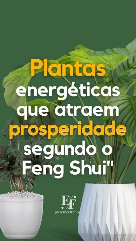 As 5 Melhores Estratégias para Usar Plantas na Decoração Interna 5 5 Maneiras Inteligentes de Usar Plantas em Decorações Internas