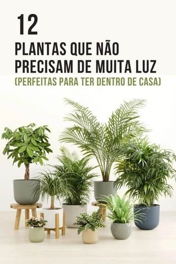 As 5 Melhores Estratégias para Usar Plantas na Decoração Interna 1 5 Maneiras Inteligentes de Usar Plantas em Decorações Internas
